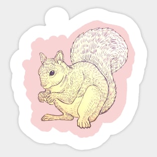 Squirrel Sticker